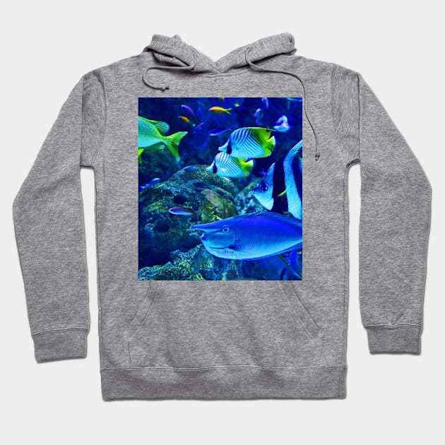 Ocean Life Hoodie by NewburyBoutique